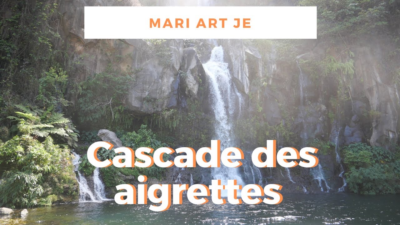 Randonnée: Bassin des aigrettes 🌲Calendrier de l'avent 2020 #9