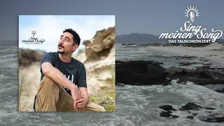 Keine Maschine (aus "Sing Meinen Song, Vol. 11") Lyrics English Translation