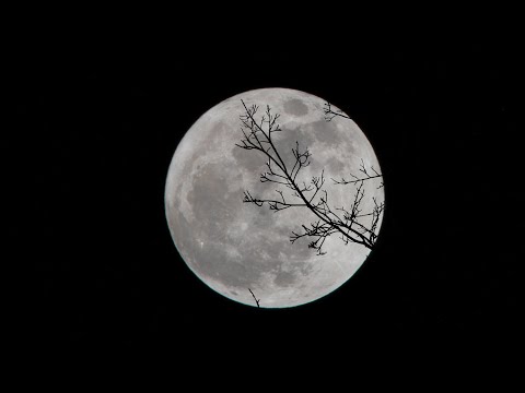 Chandni Raat (Lyrics) -  Ali Sethi