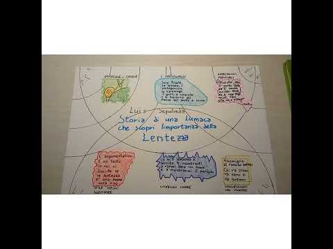 STORIA DI UNA LUMACA CHE SCOPRI' L'IMPORTANZA DELLA LENTEZZA