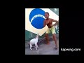 dog dancing meme dog crying sound effect