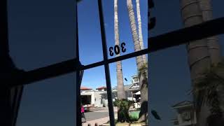 Catalina Painters’ display In Avalon