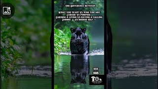 THE DIFFERENCE BETWEEEN 🌟