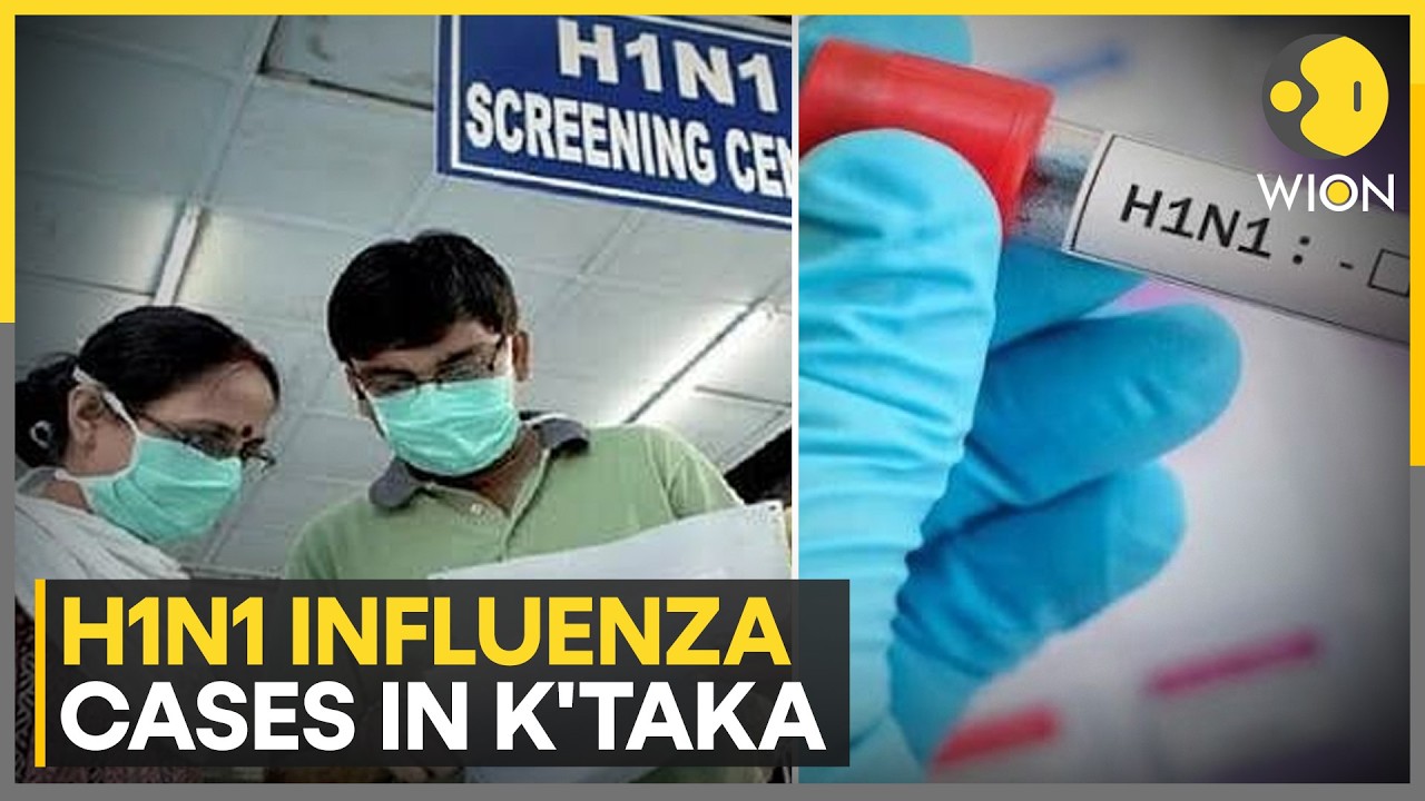 Karnataka H1N1 Scare: 4,212 Cases Reported | WION News