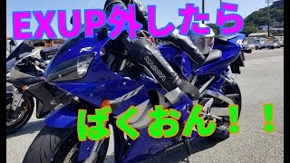 【音量注意】yamaha YZF-R1　yamamoto マフラー音　EXUPキャンセル