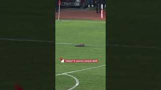 Yozgat Belediyesi Bozok Spor ile KDZ. Ereğli Belediye Spor maçında sahaya sansar
