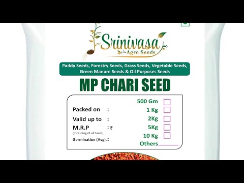 MP Chari Jowar Seeds