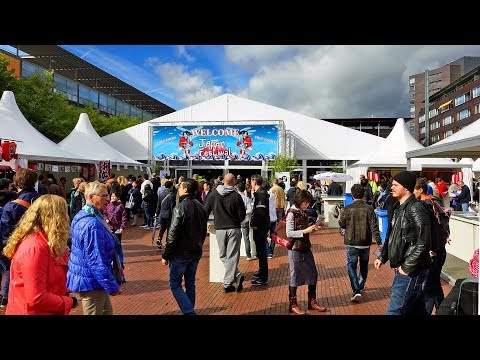 2017 Japan Festival Amstelveen