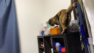 My Room LIVE(メイン)のその後