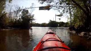 Riverside Paddlers at Manatee Park Ft Myers FL 2014
