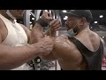 Roelly