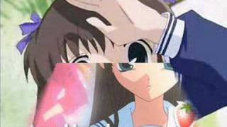 Bài hát The Painter - Nghệ sĩ trình bày O-Town