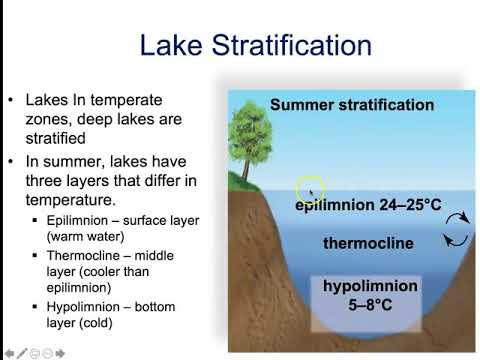 YouTube video about: How do ecologists classify aquatic ecosystems?