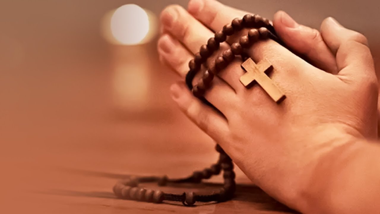 Santo Rosario del viernes 8 de noviembre del 2024