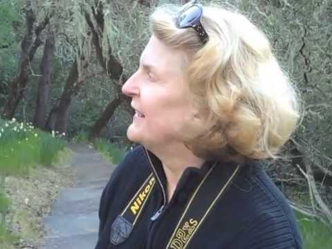 Marde Ross Daffodils Intro