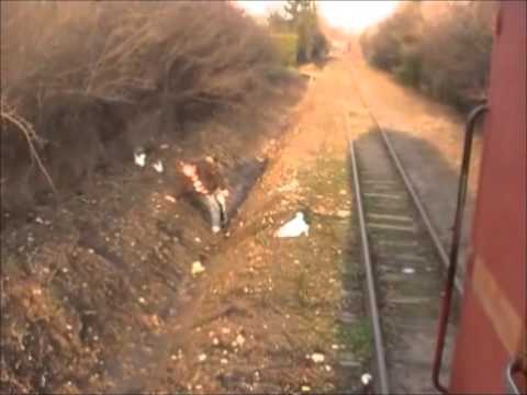 Łowcy Rp1 - obietnica