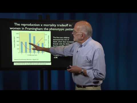 What is a Patient? Tradeoffs