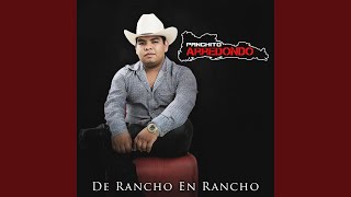 El Bitache Lyrics English Translation