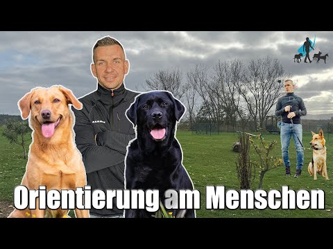 The human orientation