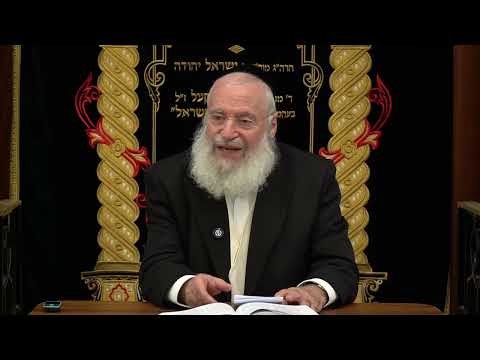 Insights into Mitzvas Milah | Weekly Shiur by Rav Asher Weiss Shlit"a (Parshas Lech Lecha, 5786)