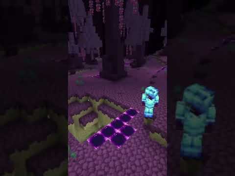Enderlax Forest: A New Minecraft End Biome!