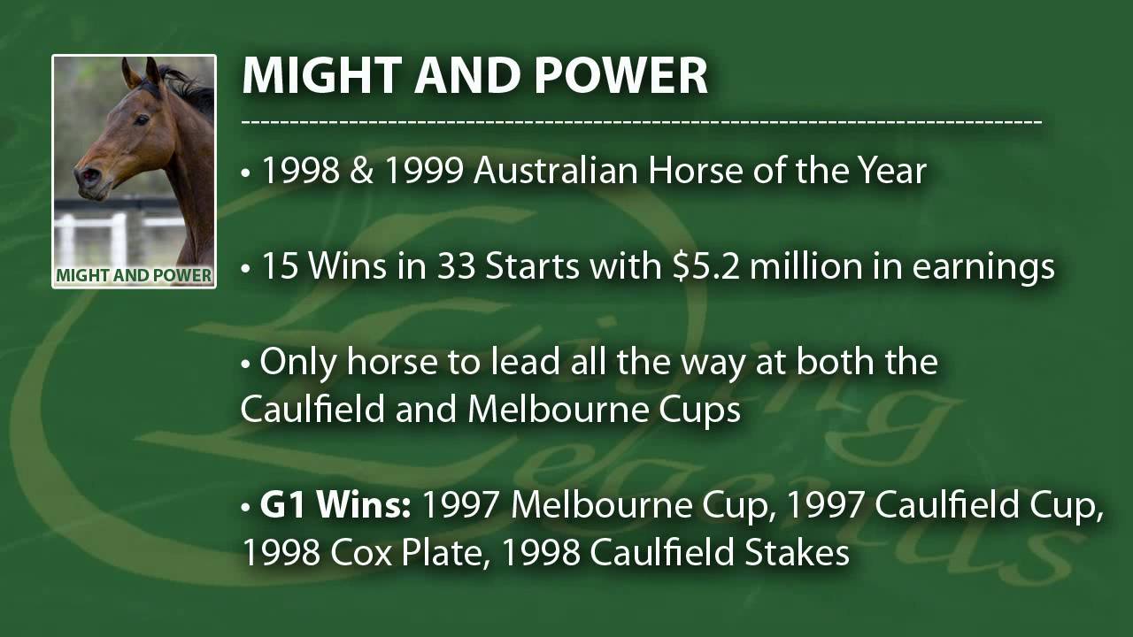 A Look at the Horses of Living Legends