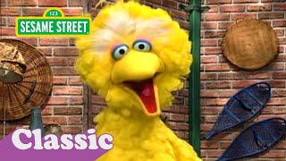 I&#39;m No Aardvark Song with Big Bird | Sesame Street Classic