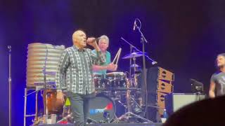 MIDNIGHT OIL - BLOSSOM AND BLOOD - MT DUNEED 5/3/22