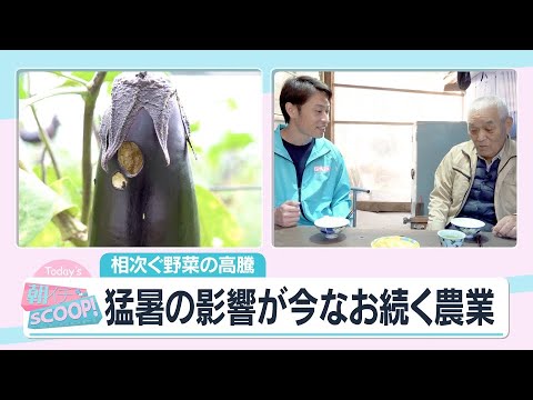 El precio de las hortalizas sigue subiendo Una tras otra, la agricultura sigue viéndose afectada por el intenso calor [Asades]. ]