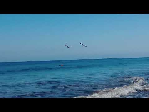 Gran Canaria Weather 8.04.2022 Easter 2022: Canary Islands with more flights than before Corona