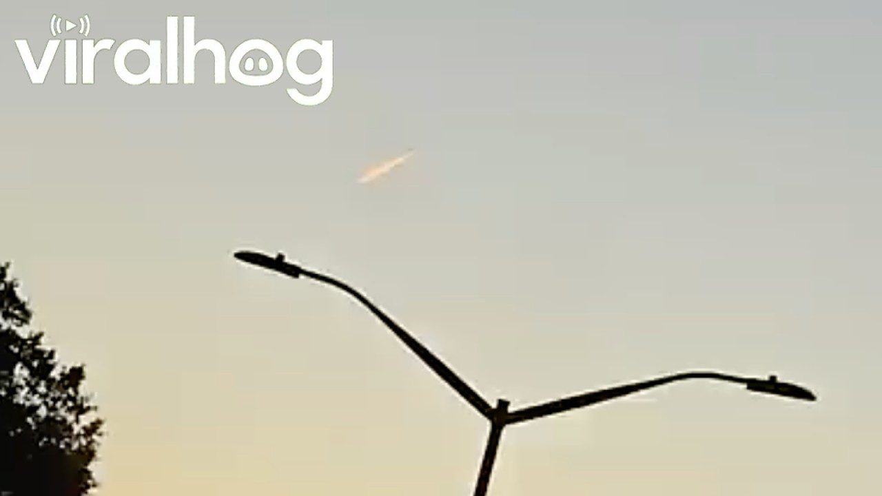 Rare Comet Stuns New Yorkers in Daylight || ViralHog