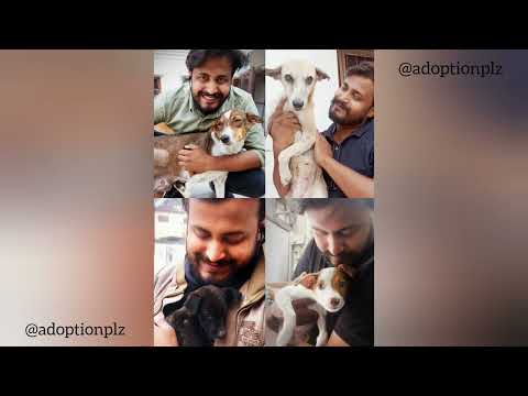 Interview on Red FM on 16th September 2023 #animalrescue #redfmindia #dogs #adoptionplz
