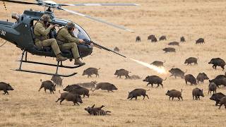 Os Agricultores Usam Helicópteros Para Criar Gado, Caçar E Colher Plantações Dessa Maneira