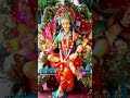 Tune Mujhe Bulaya Sherawaliye Status Song