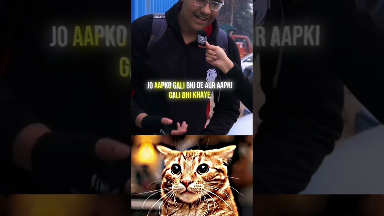 Bombastic cat | #funny #fypシ