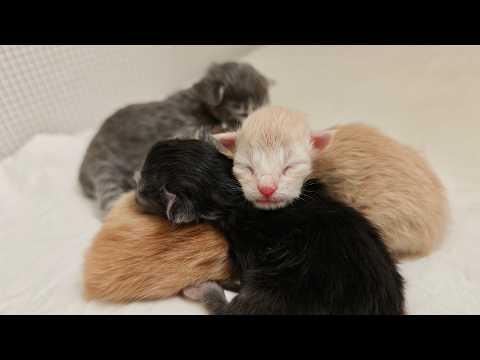 YouTube 썸네일
