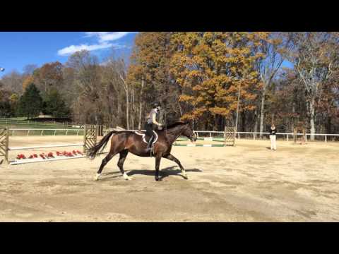 Sweet Briar Open house riding 11-16-15