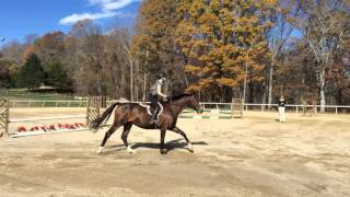 Sweet Briar Open house riding 11-16-15