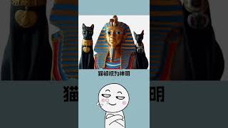 貓咪胡須的驚人祕密：你知道它們真正的用途嗎？#shorts #short #科普