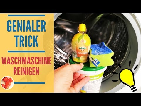 Genialer Trick: Waschmaschine reinigen mit Hausmitteln | mit Flusensieb, Türdichtung & Schublade