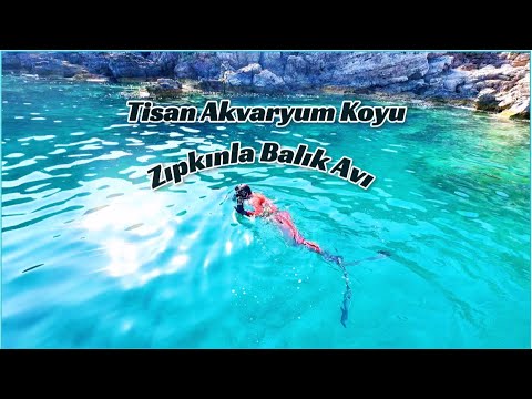 Tisan Adası Akvaryum Koyunda Zıpkınla Av ve Muhteşem Görüntüler