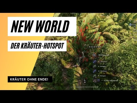 New World: Der ultimative Kräuter-Hotspot - Kräuter ohne Ende