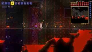 Winning the race - Colbaria! Terraria Part 20