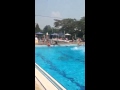 Rugrats Jumping Off Diving Board