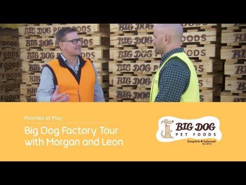 Big Dog Factory Tour with Morgan and Leon