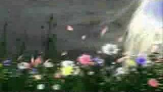 Bài hát Mienai Chizu - CardCaptor Sakura - Nghệ sĩ trình bày ANZA