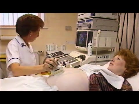 Health E: Sex Education (1995) - FULL EPISODES