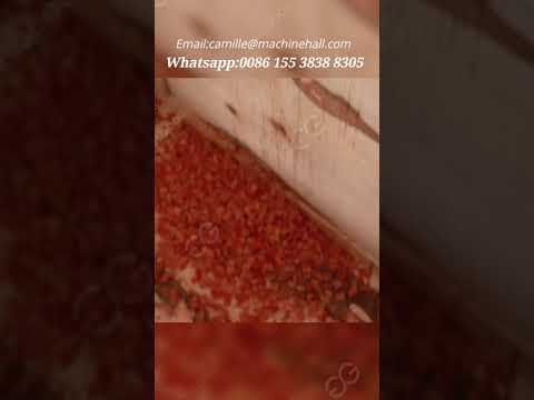 Automatic Tomato Washing Cube Cutting Machine Canned Tomato Processing Machine