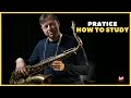 Chris Potter - How to Study