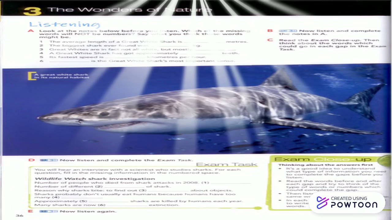 listening unit 3.pptx